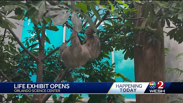 'It's amazing': Orlando Science Center opens new 'Life' exhibit with multiple ecosystems to explore