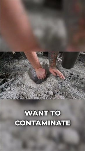 Ground Setup: Birch Bark Oil Collection #bushcraft #survivalskills #foraging #outdoorlife