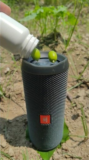 JBL essential 2 neem candy jump