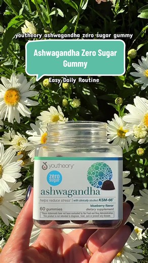 Looking for a zero sugar gummy with organic KSM-66 ashwagandha? This blueberry-flavored option from youtheory makes daily wellness routines simple and delicious. #youtheory #ashwagandha #zerosugar #gummies #wellnessroutine