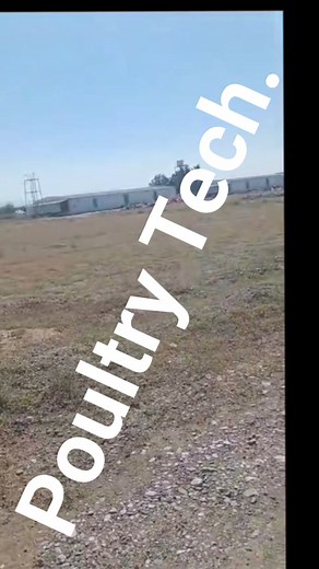 Poultry Farming technologies. Modern poultry house design matching with updated poultry keeping technologies. #poultrycare #ম্যানেজমেন্ট #automatic #PoultryCage | Poultry Professionals Bangladesh / PPB