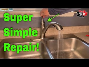 Delta Single Handle Kitchen Faucet Repair