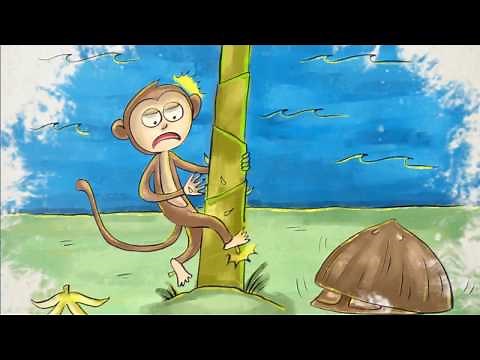 The Philippines - The Turtle and The Monkey