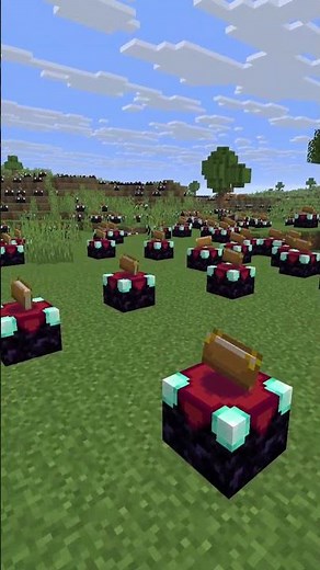how to catch an invisible person in minecraft