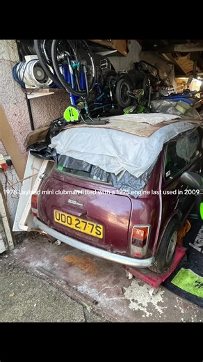 1978 Layland mini clubman fitted with a 1275 engine😎 last used in 2009🤯#classiccar #projectcar #barnfind #abandoned #classic #vintage #shed #garage #classicminiclubman