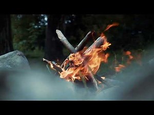 Nature Forest Video | Free Watch Natures Lovers in 4k | ‪@naturesexploleres‬