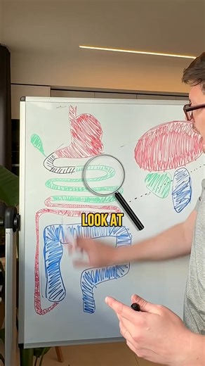 Do You Have IBS or Colitis - Both Explained Simply | Heal Your Gut Guy