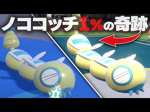 【出現率1％⁉️】ノココッチの激レア個体「みつふしフォルム」知ってる？【ポケモンSV】