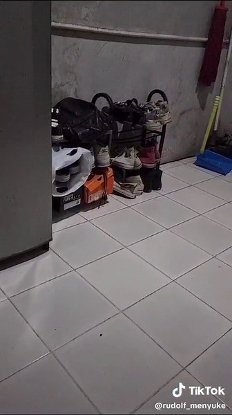 Kumpulan Meme Tikus yang Lucu dan Brutal di Indonesia