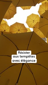 364K views · 4.6K reactions | À Cherbourg, on fabrique des parapluies capables de résister aux bourrasques… et même aux balles. Du luxe, de l’innovation, et du savoir-faire 100 % français. ▶ "1 000 ans d'excellence en Normandie", disponible sur france.tv #DRDA #francetv #Cherbourg | Des Racines et Des Ailes | Facebook
