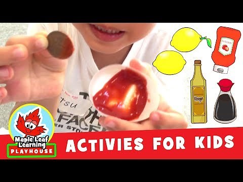 Penny Cleaning Experiment for Kids | Maple Leaf Learning Playhouse