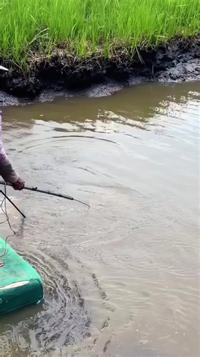 electric fishing，new energy fishing device，electric fishing net，electric fishing machine，electric fishing rod stick.#creatorsearchinsights #lurefishing #outdoors #fyp