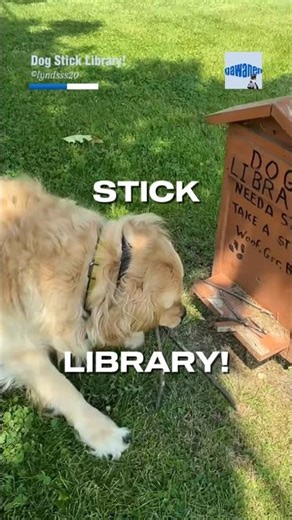 The Library Just for Dogs!