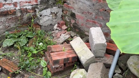 Transform Your Garden with Creative Cement Ideas