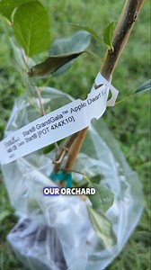 9.3K views · 60 reactions | From one year ago this week... Let's...