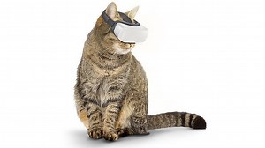 貓貓虛擬眼罩「Cat VR ZOOS」　為運動不足肥貓而設