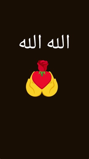 ١٩ ديسمبر ٢٠٢٥