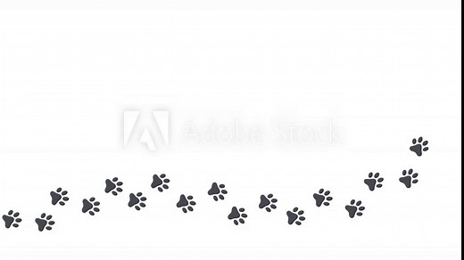dog paw, cat paw trail print isolated on white background. 4k animated video with copy space
