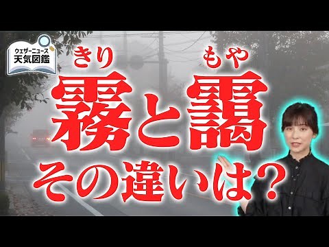 実は色々種類がある！霧のでき方と種類 #ウェザーニュース天気図鑑 #霧