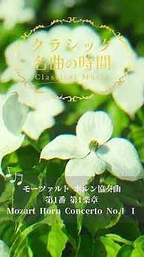 1分クラシック♪ モーツァルト #クラシック #リラックス #朝