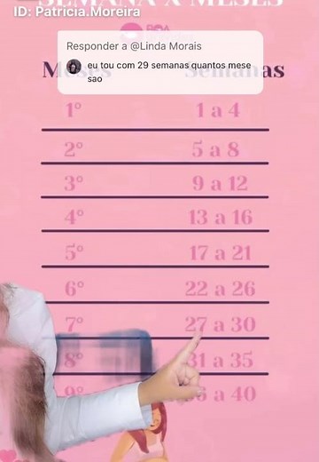 29 semanas é quantos meses?