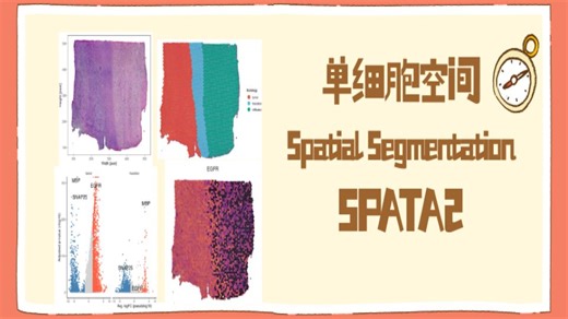 SCS 54.单细胞空间Surface Plotting(SPATA2)