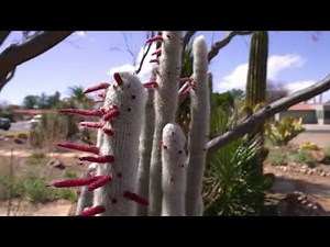 Best Places to Retire: Discover Green Valley, AZ | 55+ Communities | Courtney Seely ADTV