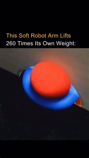 AI | Technology | Innovation on Instagram: "This robot arm looks soft, but its strength is shocking. Scientists at Harvard’s Wyss Institute built a robotic arm inspired by octopus tentacles. It is made from flexible silicone, similar to a phone case, yet it can lift up to 260 times its own weight. The secret is shape and biology. Real octopus arms taper toward the tip and use suction to grip almost anything. This robot copies both. One control bends the arm. Another activates the suction cups. T