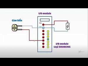 #2 PLC - Sink & source là gì? Phân biệt Sink và source - ứng dụng nối dây