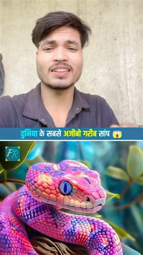 The world’s weirdest & most colorful snakes! 🐍🌈 Some of them look unreal! #trendingshorts #viral