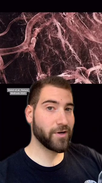 Revolutionary Imaging Technique Revealed by Walsh et al. in Nature Methods 2021