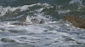 Waves, Rocks, Splashing. Free Stock Video