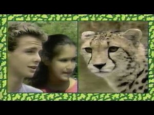 Nick Wild Side Show 1992 ad promo commercial break 90s nickelodeon tv