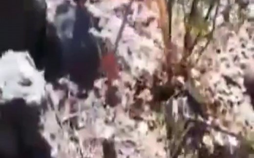 CJNG与CDS的冲突害了两个鲜活的生命