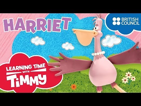 Meet Harriet | Learning Time with Timmy | Cartoons for Kids