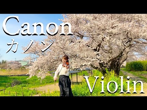 【バイオリン】カノン/パッヘルベル(Pachelbel’s Canon in D violin)青のオーケストラ