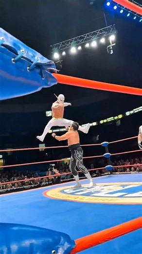 why you can't bet on wrestling matches #shorts