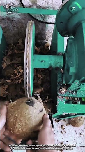Best Coconut Fiber Peeling Machine: Innovation How to Remove Husk Processing System