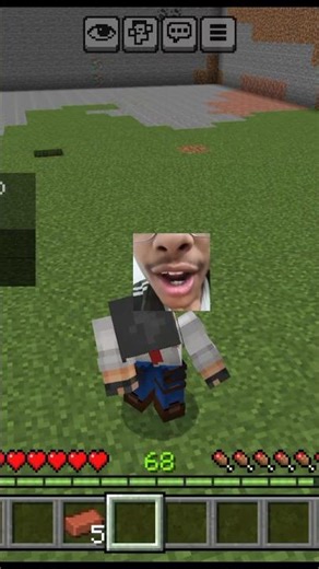 Iron golem meoww se bura maan gya #minecraft #gaming #minecraftlivehind #minecraftgameplay