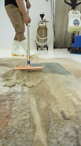Addictive ASMR Carpet Cleaning #rugcleaning #satisfyingvideo #satisfying #satisfaction #satisfyingsounds #viralreels #asmr | Master Carpet Cleaning
