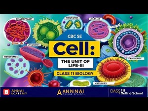 Cell Biology Unleashed | Understanding Cells | Class 11 Biology | CBSE/ICSE/TN Board