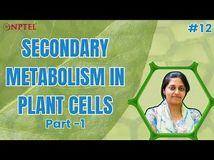 #12 Secondary Metabolism in Plant Cells | Part 1 | Plant Cell Bioprocessing