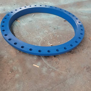 [Hot Item] Wn Flange RF/FF/Rtj/Mf Fbe Coating / Liquid Epoxy Resin Flange