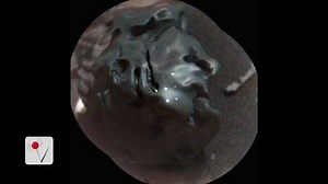 NASA Rover Finds Odd Meteorite on Mars