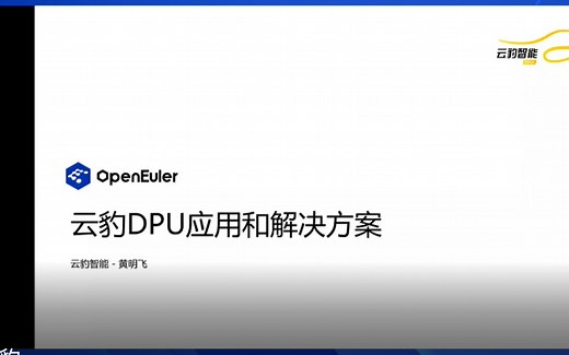 云豹DPU的应用和解决方案