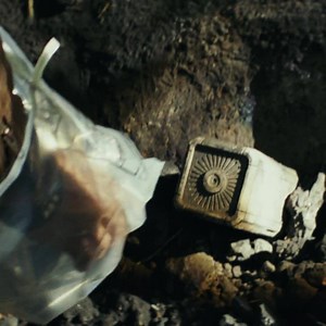 1.1M views · 154K reactions | INDIA!! Here's an exclusive look at our new #RAMPAGEMovie trailer, and it's BIG! It's got the biggest monsters, the biggest action and my biggest co-star ever! George is my best friend and also happens to be a MASSIVE albino gorilla. He'll show you a thing or two about destruction. Get ready for the RAMPAGE in 2018. Enjoy! | Dwayne The Rock Johnson | Facebook