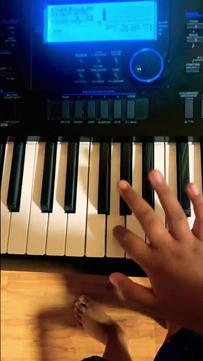 Casio WK-6600 Testing