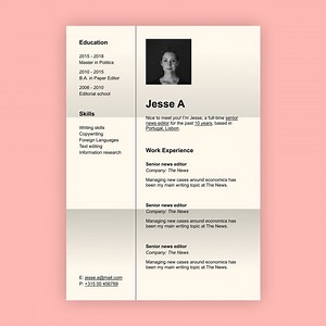 Professional Resume Design. CV Template Word, Pages and PDF. CV, Job Resume Template - Etsy Australia