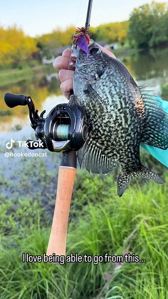Reel and Rod Review: Best Gear for Light Game Fishing