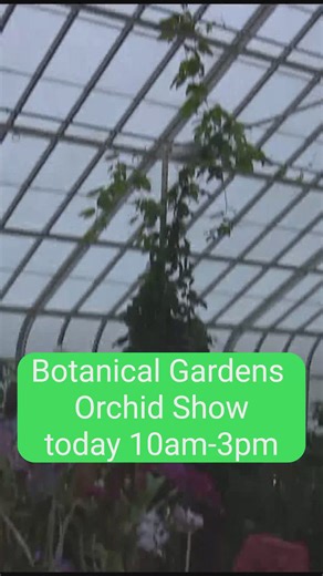 Botanical Gardens Orchid Show